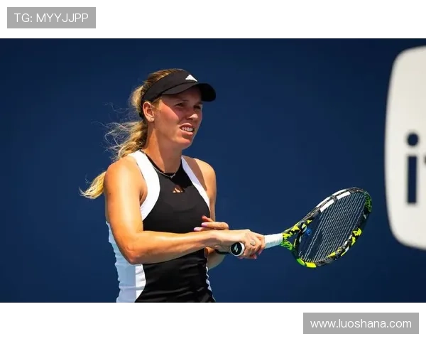 世界网球赛季回顾:新星崛起与传奇球员的最后征战 世界网球赛季回顾:新星崛起与传奇球员的最后征战