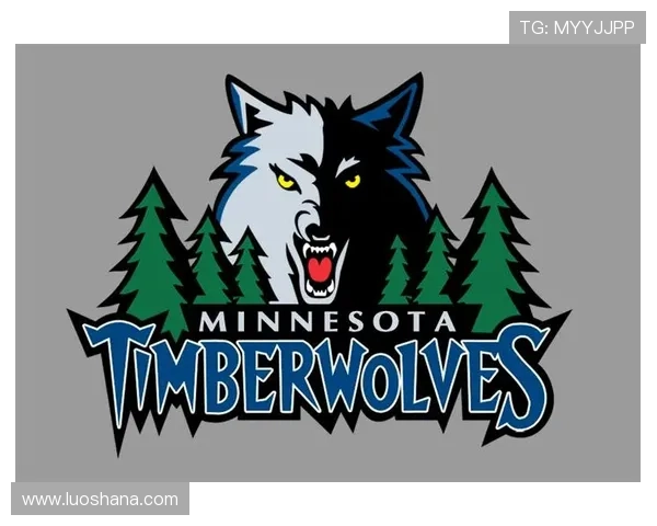 NBA狼队崛起之路全面解析年轻力量如何改写联盟格局 NBA狼队崛起之路全面解析年轻力量如何改写联盟格局