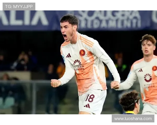 维罗纳足球俱乐部的荣耀与挑战意大利绿茵场上传奇再续