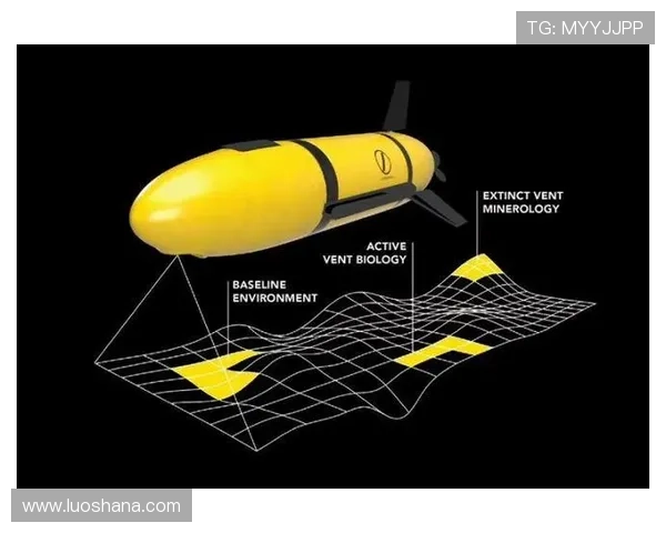 雷恩俱乐部的崛起与未来展望：从青训体系到欧洲赛场的全面突破